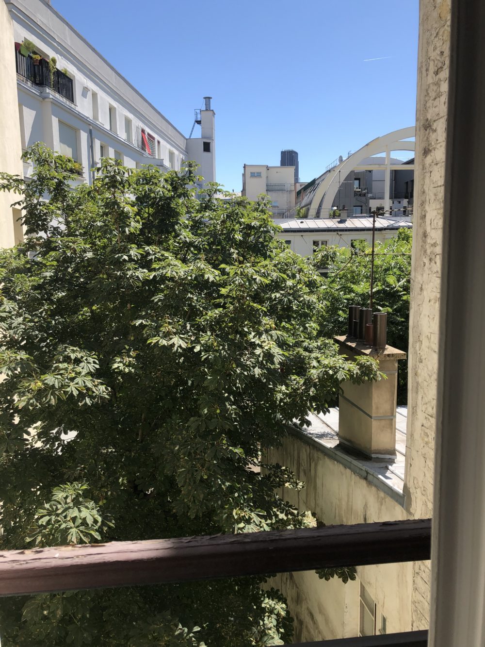vue cour arbre