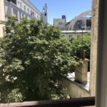 vue cour arbre