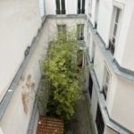 cour