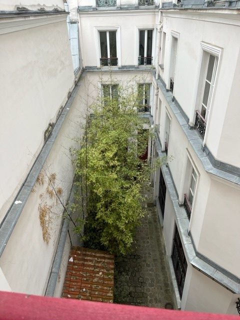 cour