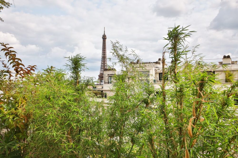 tour eiffel