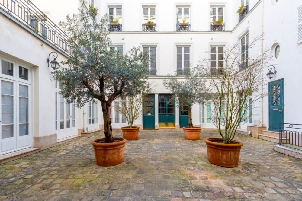 cour