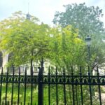 jardins bis